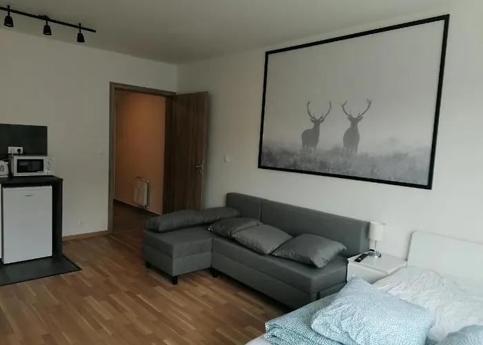 Brand New Studio Apartment #71 With Free Secure Parking In The Center