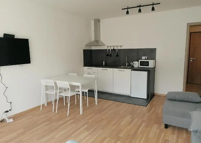 Brand New Studio Apartment #71 With Free Secure Parking In The Center
